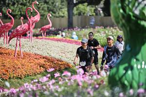 BIB: 
                            <button type="button" onclick="openModal(27793140)" class="btn btn-primary btn-sm float-right btn-popup" data-toggle="modal" data-target=".modal-high-quality">
                        <i class="fas fa-shopping-cart"></i> Add to Cart
                    </button>
                                            <button type="button" onclick="isThisMe(27793140, true)" class="btn btn-success btn-sm float-right btn-popup btn-isme hidden" data-toggle="tooltip" data-placement="bottom" title="นี่คือรูปของคุณใช่ไหม คลิกที่นี่เพื่อเอาเข้าอัลบั้ม">
                        <i class="fas fa-plus"></i> Add to album
                    </button>
                    <button type="button" onclick="isThisMe(27793140, false)" class="btn btn-warning btn-sm float-right btn-popup btn-isnotme hidden">
                        <i class="fas fa-ban"></i> Remove from album
                    </button>